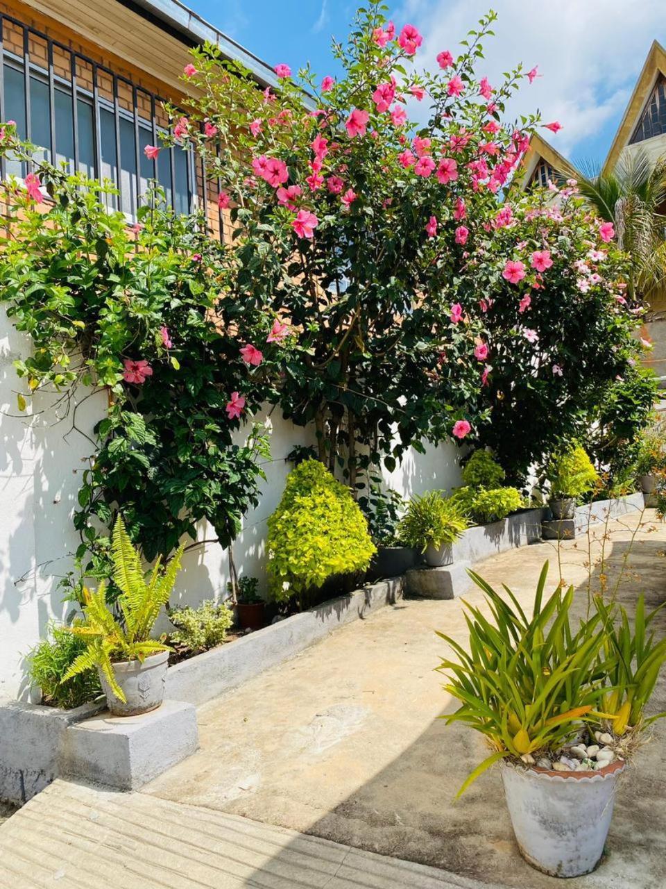 Chez Jeanne Chambre D'Hote Ανταναναρίβο Εξωτερικό φωτογραφία